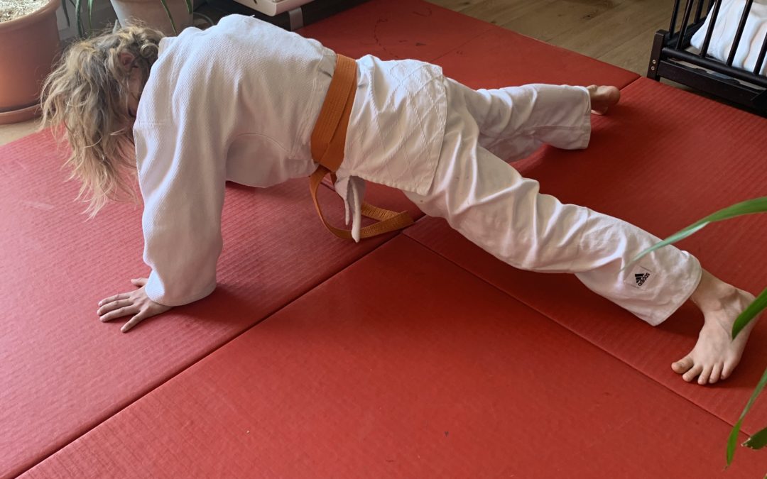 Quelques exercices de Judo à faire à la maison…… à vous de jouer les Judoka-tes des Eaux-Vives 💪🥋👍